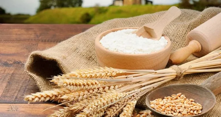 پودر جوانه گندم با آب جوش