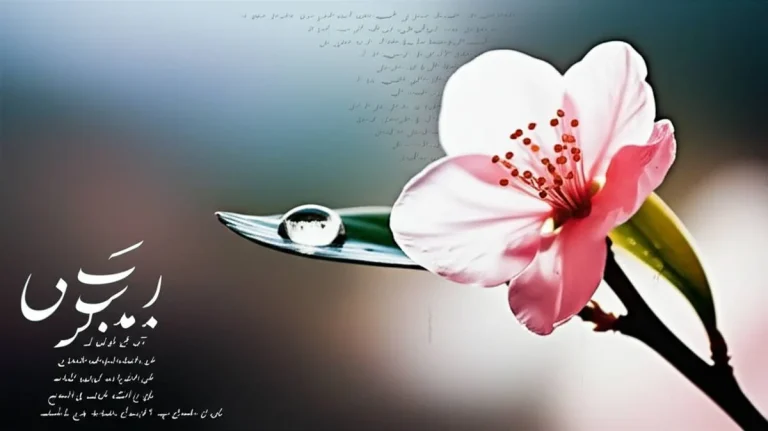 خلاصه کامل کتاب یک شاخه گل، یک قطره آب | ایمان جعفری نسب